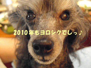 temari_20100101