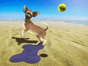 pet