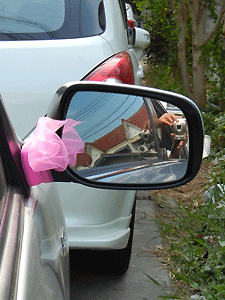 20120318_mirror