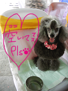 20120318_temari