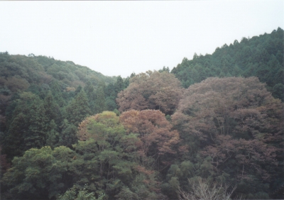 香嵐渓