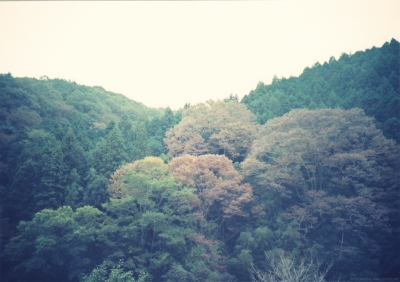 香嵐渓