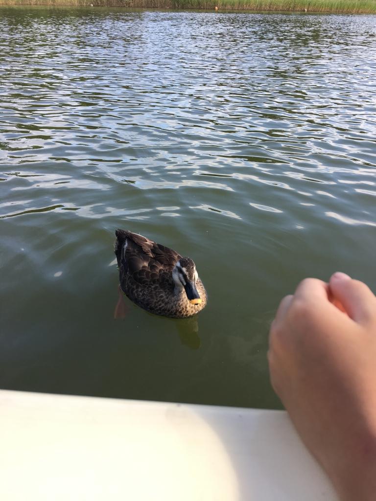 昭和記念公園