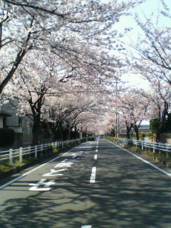 200904061445000.jpg