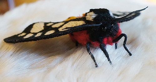 蛾売りおじさんの作品のお取り扱いがはじまりました | Guignol.blog