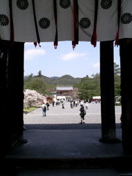 仁和寺_山門より