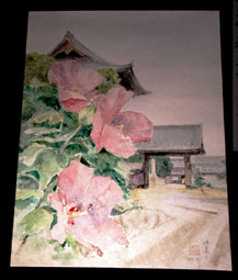 妙蓮寺・万灯会_酔芙蓉