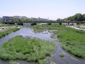 葵祭_斎王列17