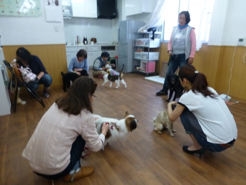 P1020381.JPG