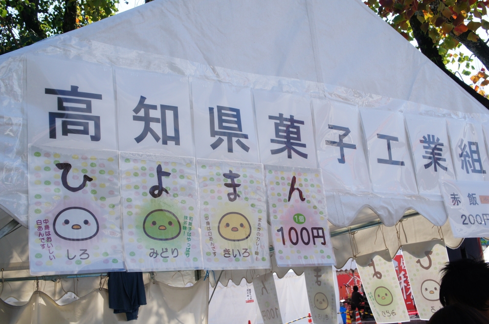 DSC08538.JPG