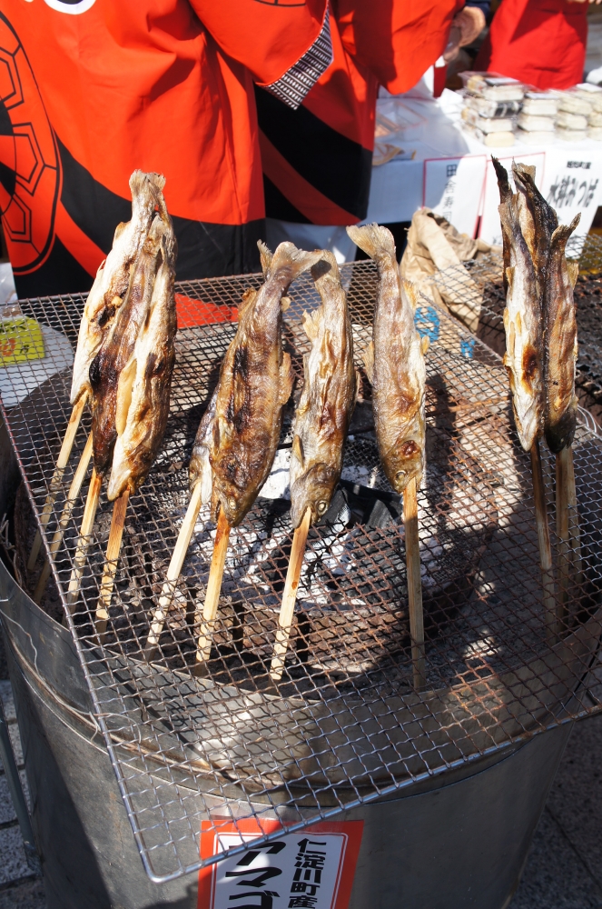 DSC08540.JPG