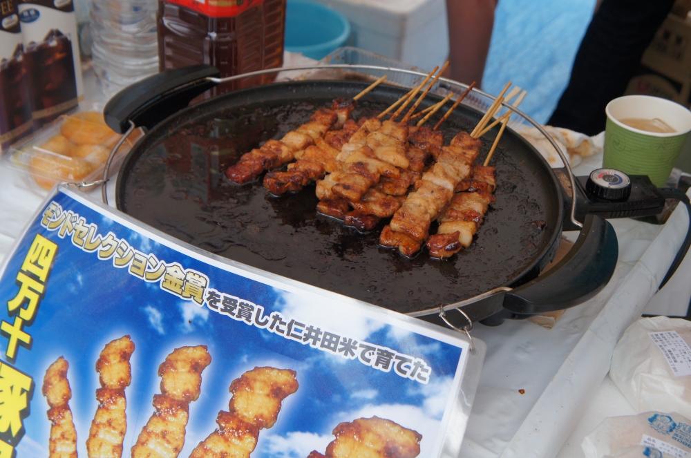 DSC02263.JPG