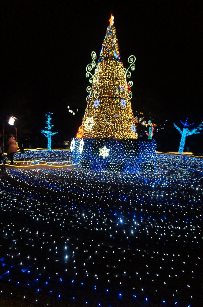 DSC03879.JPG