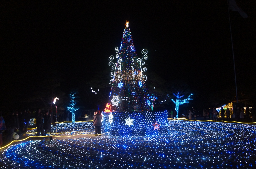 DSC03880.JPG