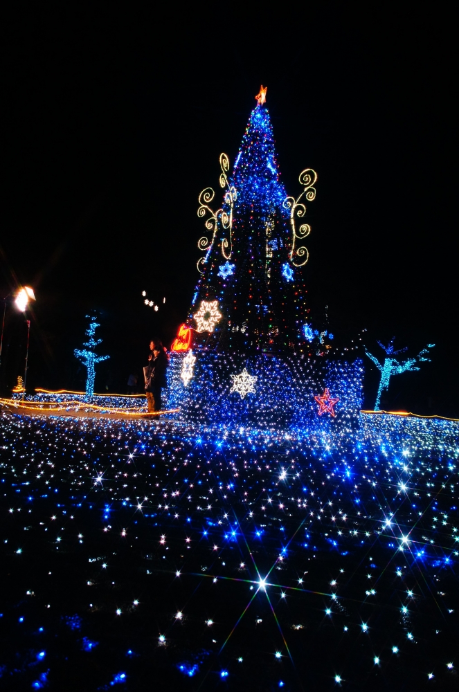 DSC03890.JPG