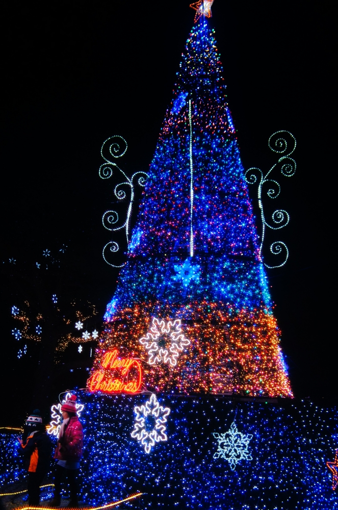 DSC03893.JPG