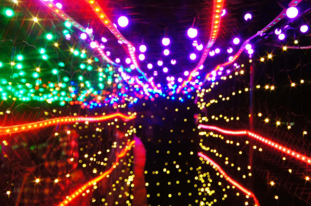 DSC03916.JPG