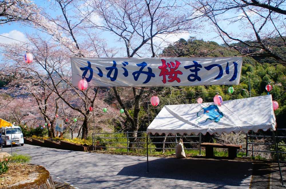 DSC06009.JPG
