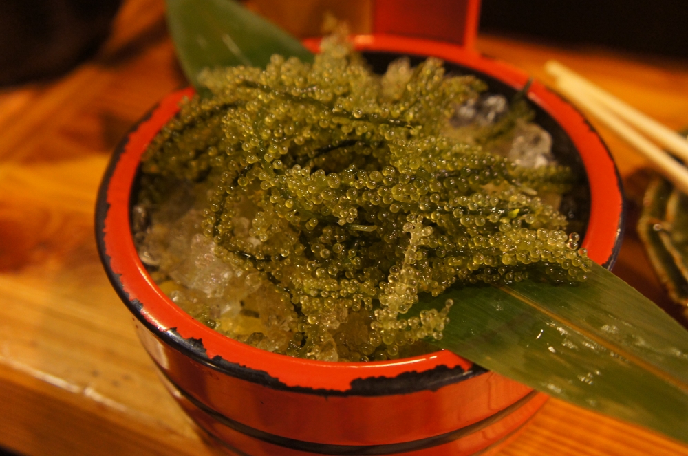 DSC07970.JPG