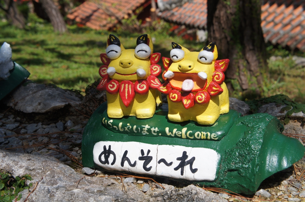 DSC08046.JPG