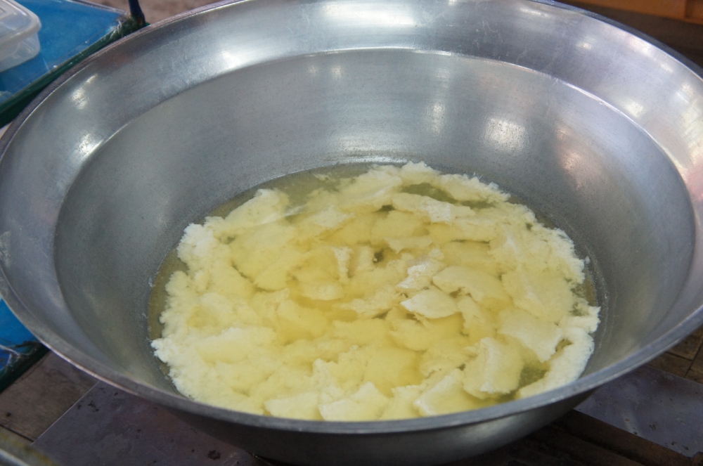 DSC08095.JPG