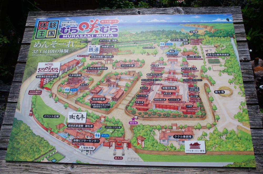 DSC08155.JPG