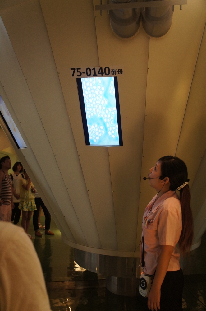 DSC08283.JPG