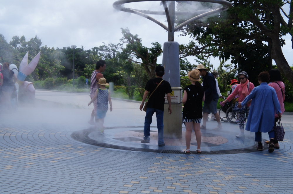 DSC08394.JPG