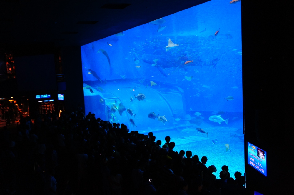 DSC08454.JPG