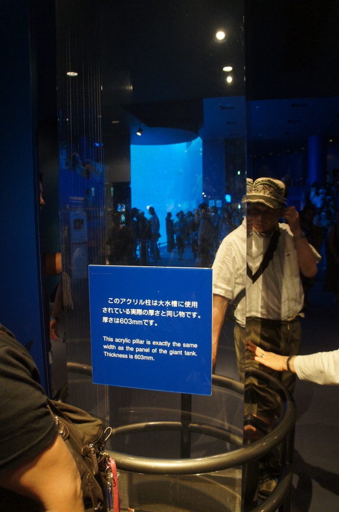 DSC08503.JPG