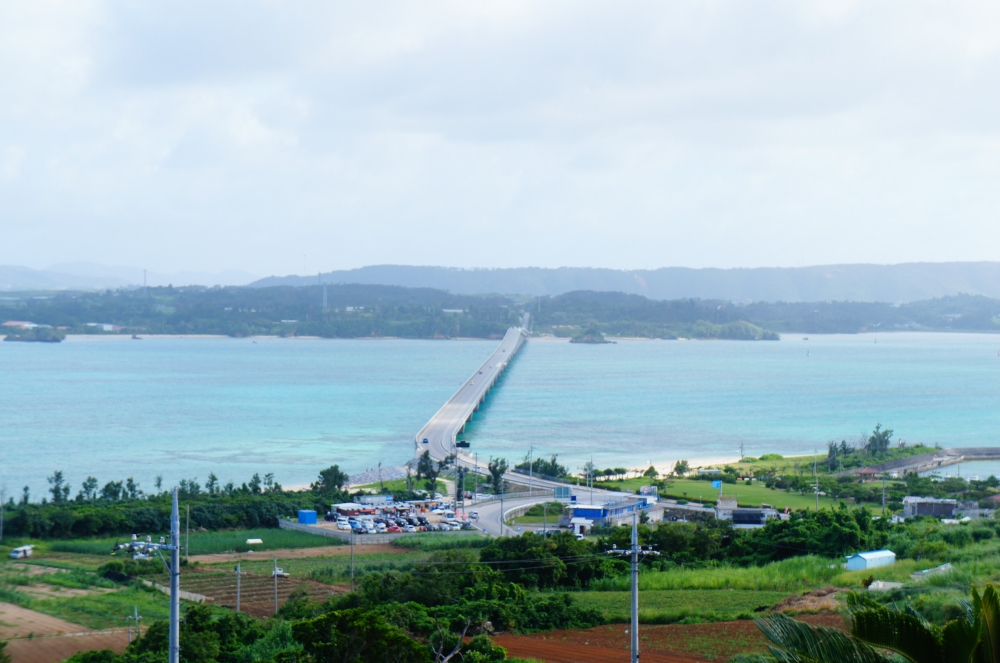 DSC08542.JPG