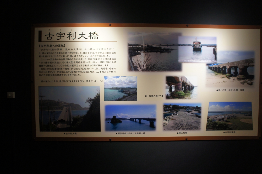 DSC08558.JPG