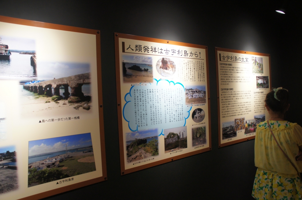 DSC08559.JPG
