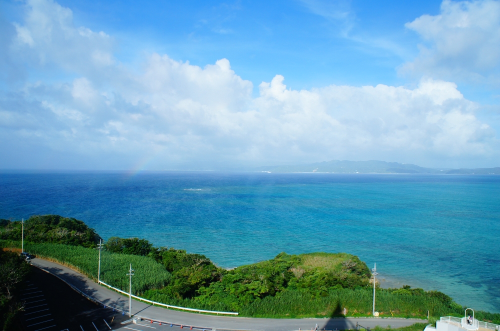 DSC08564.JPG