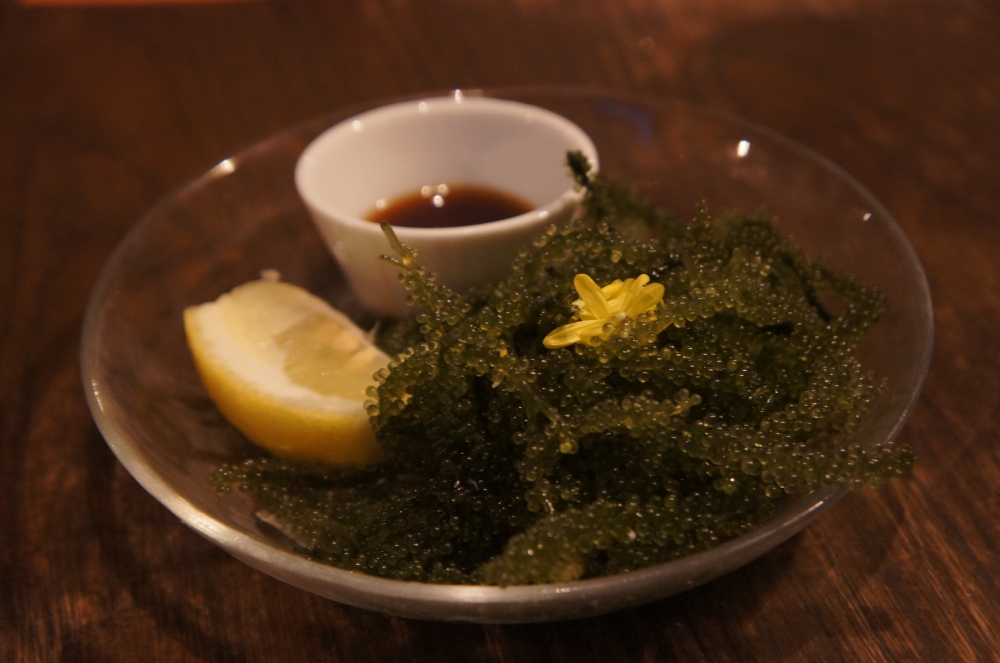 DSC08604.JPG