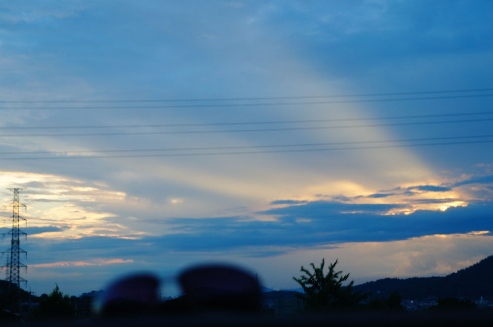 DSC08699.JPG