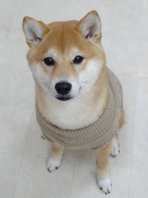 サブ