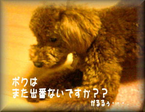 がるるぅ