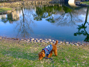 公園