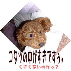 お気に入り
