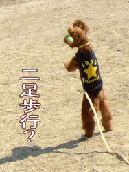 長っ!