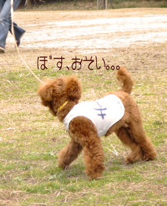 あいかわらず