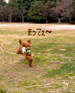 えへへ