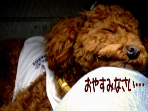 ZZZ