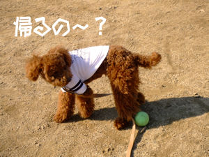 つまんない