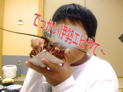 甥っ子