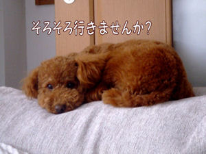 行こ!