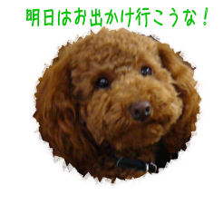 お出かけ