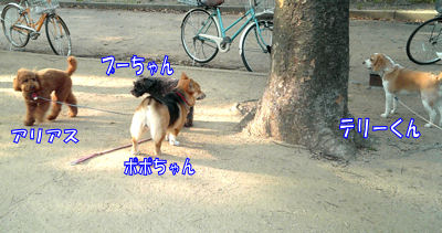4wan