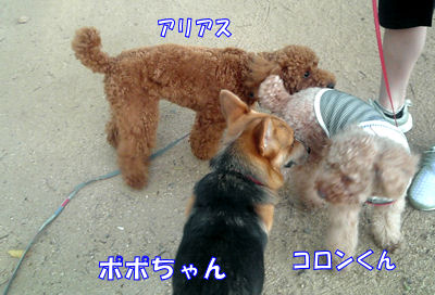 がんばった